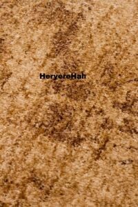 SHIRAZ SHR 01 BEIGE Vintage Eskitme Desenli Modern Yumuşak Dokulu Makine Halısı 170x240 cm