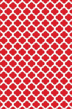 YAMALI home Style Moda Desen Saçaklı Halı KIRMIZI beyaz - 120x180 cm