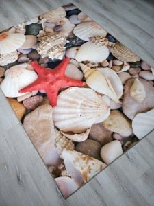 Doğuş 3BoyutluHalı 3D-719 Deniz Kabuklu Mix 140x200cm
